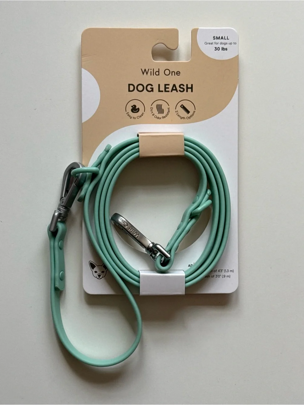 Wild One Adjustable Waterproof FlexPoly Coated Nylon Dog Leash - Small - Seafoam